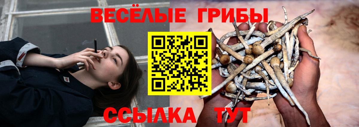 Семёнов  Псилоцибиновые грибы Magic Shrooms  Вход с VPN  Псилоцибиновые грибы прущие грибы 